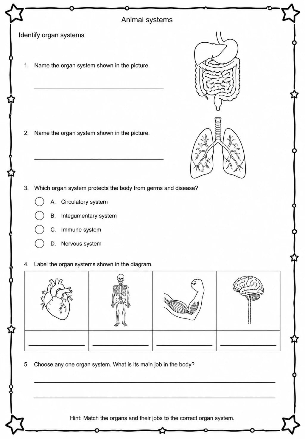 Identify organ systems — free printable Middle School Science worksheet