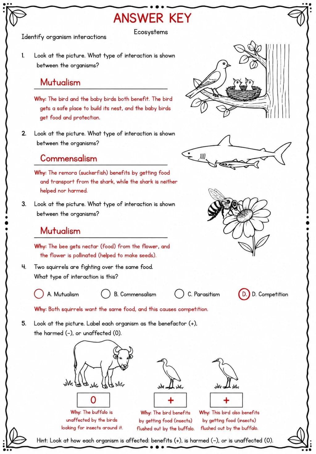 Answer key for Identify organism interactions — free printable Science worksheet