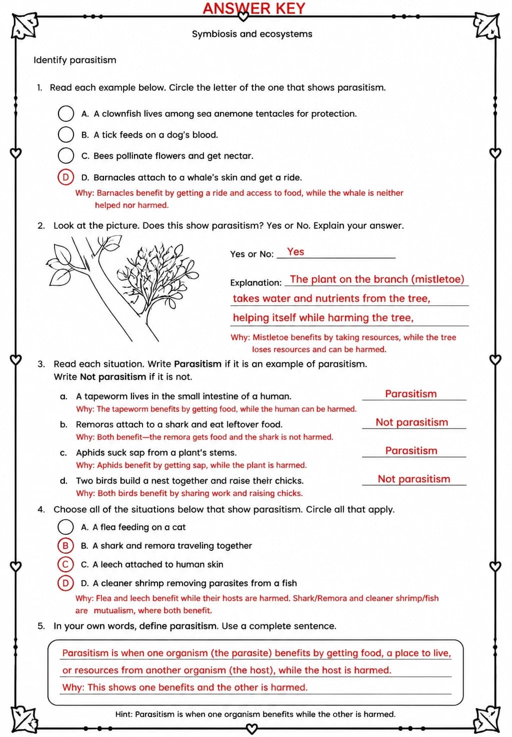 Answer key for Identify parasitism — free printable Science worksheet