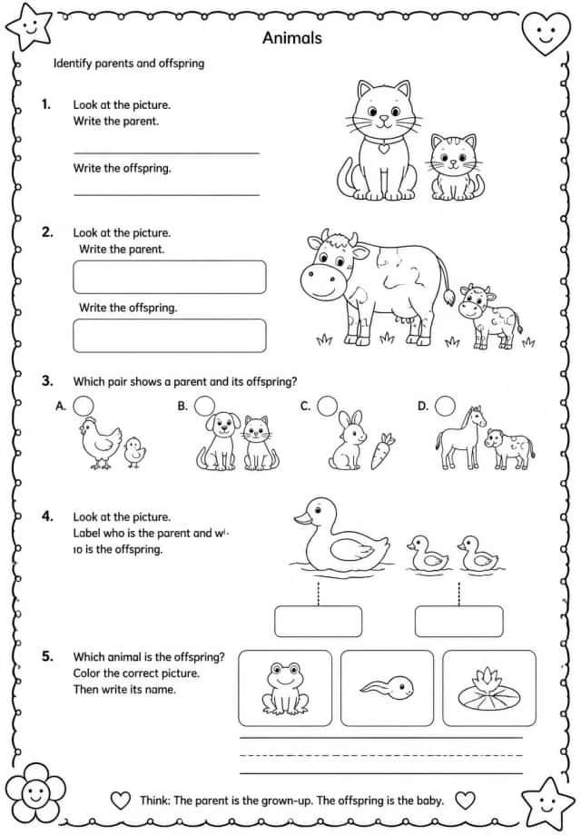 Identify parents and offspring