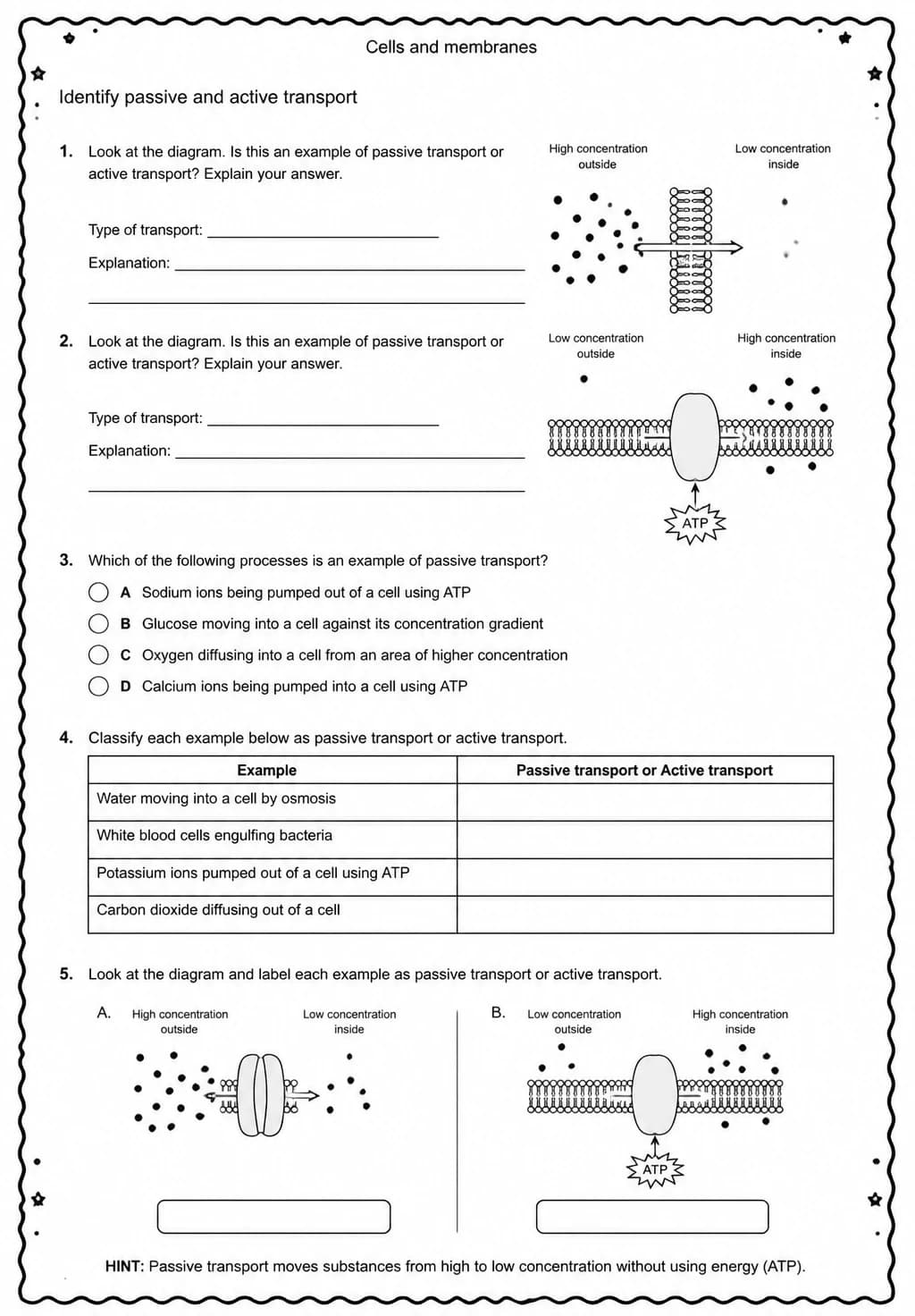 Identify passive and active transport — free printable High School Science worksheet