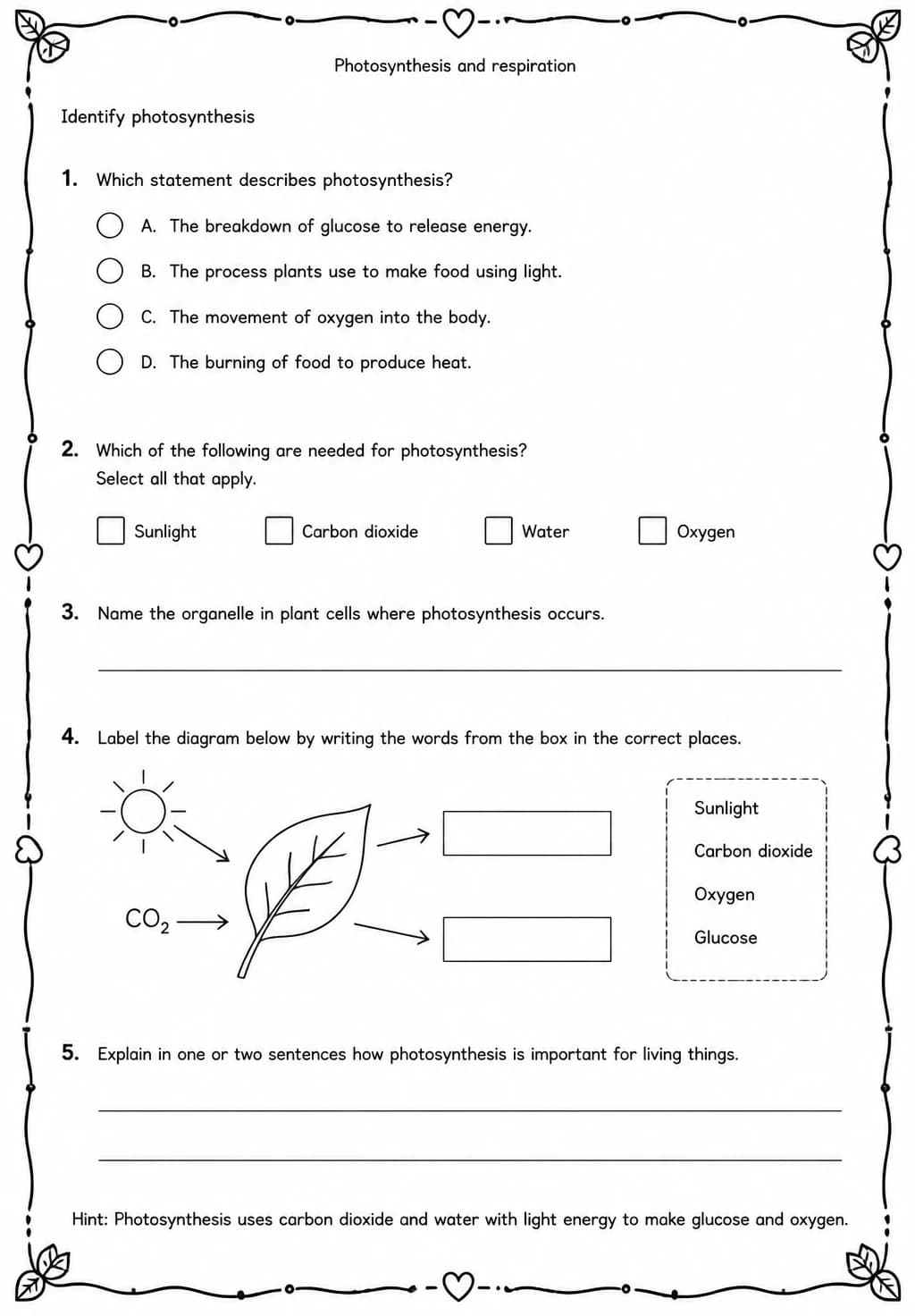 Identify photosynthesis — free printable High School Science worksheet