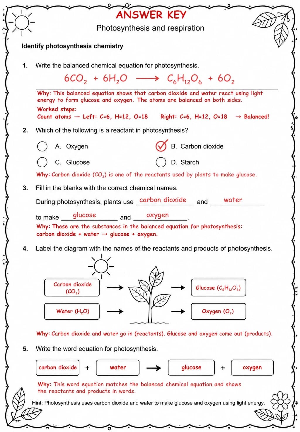 Answer key for Identify photosynthesis chemistry — free printable Science worksheet