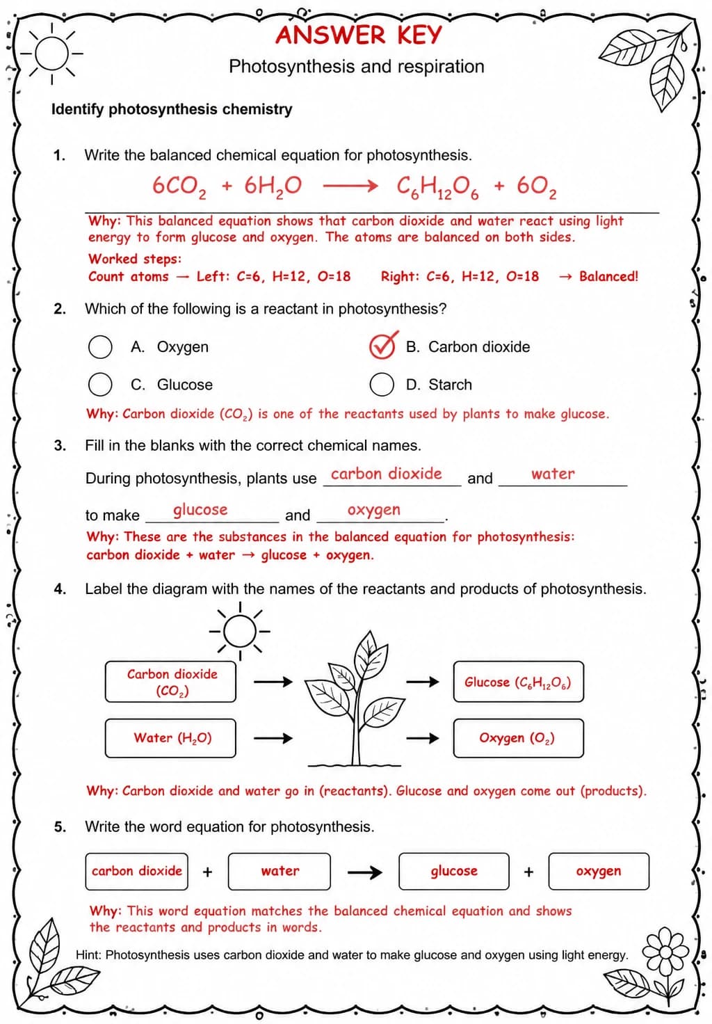 Answer key for Identify photosynthesis chemistry — free printable Science worksheet