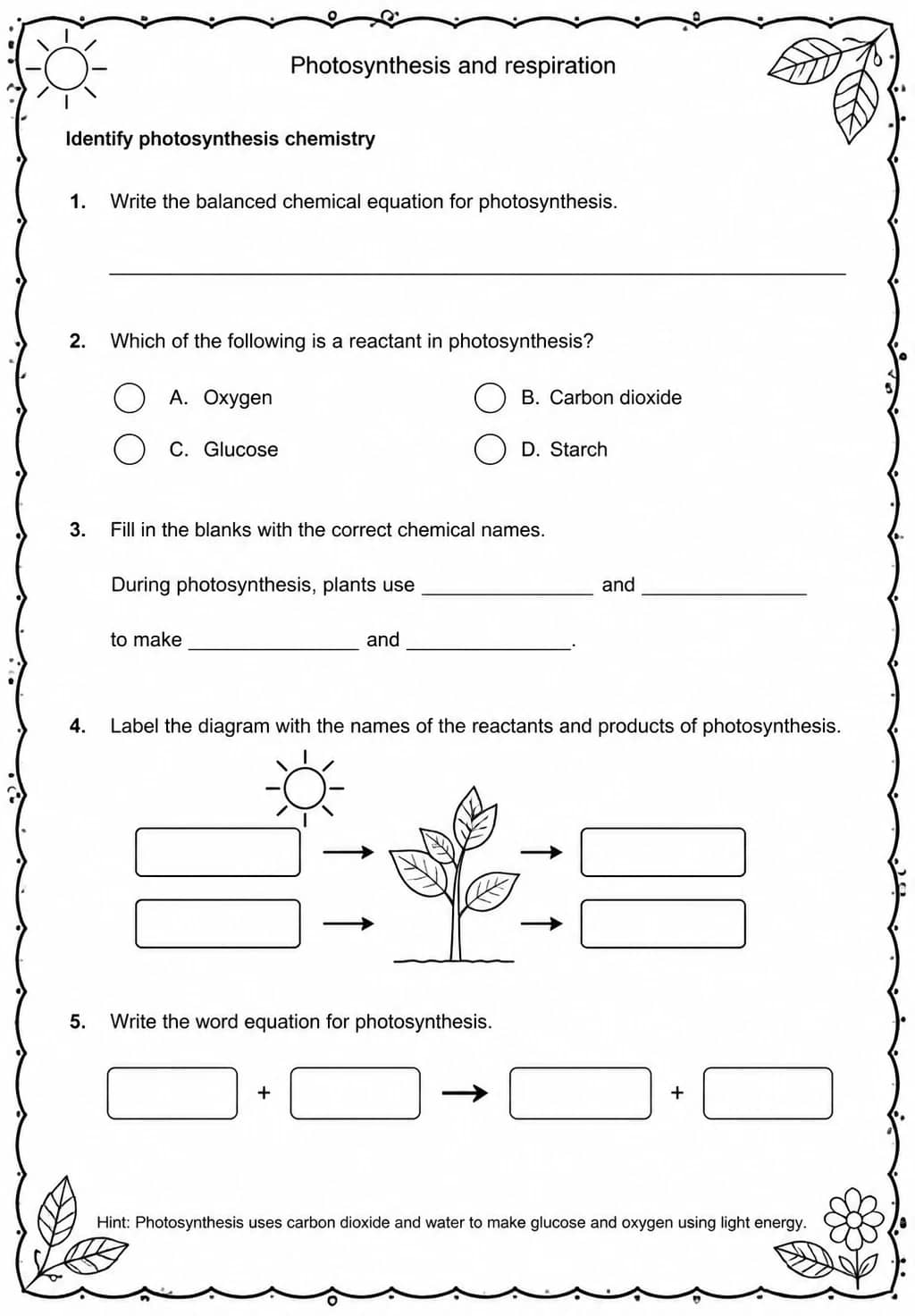 Identify photosynthesis chemistry — free printable Middle School Science worksheet