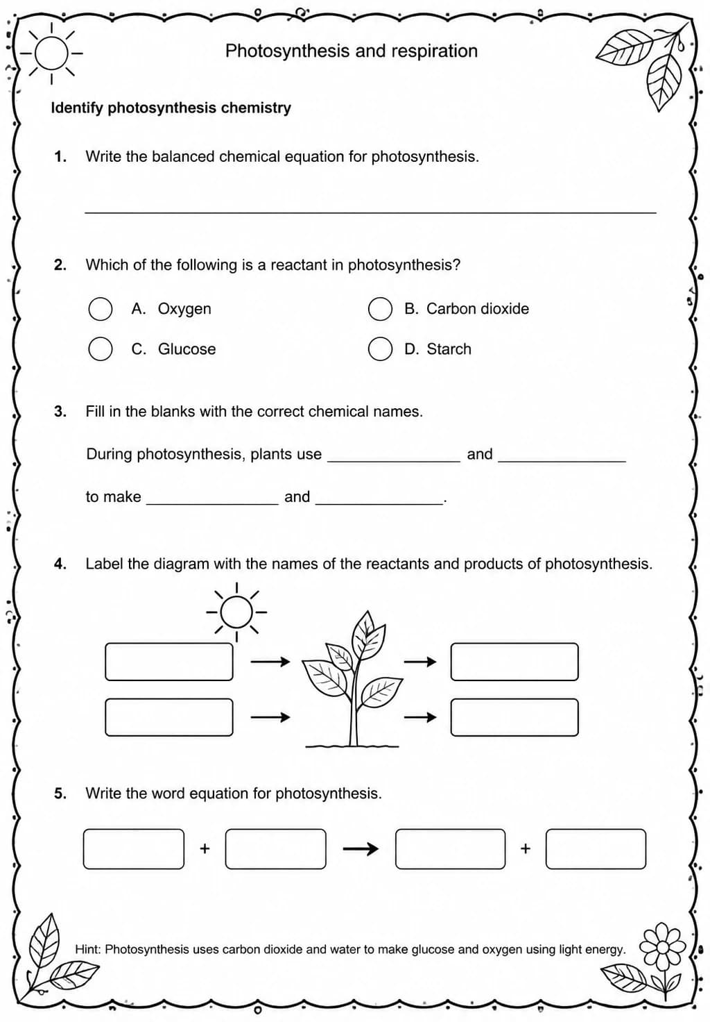 Identify photosynthesis chemistry — free printable Middle School Science worksheet