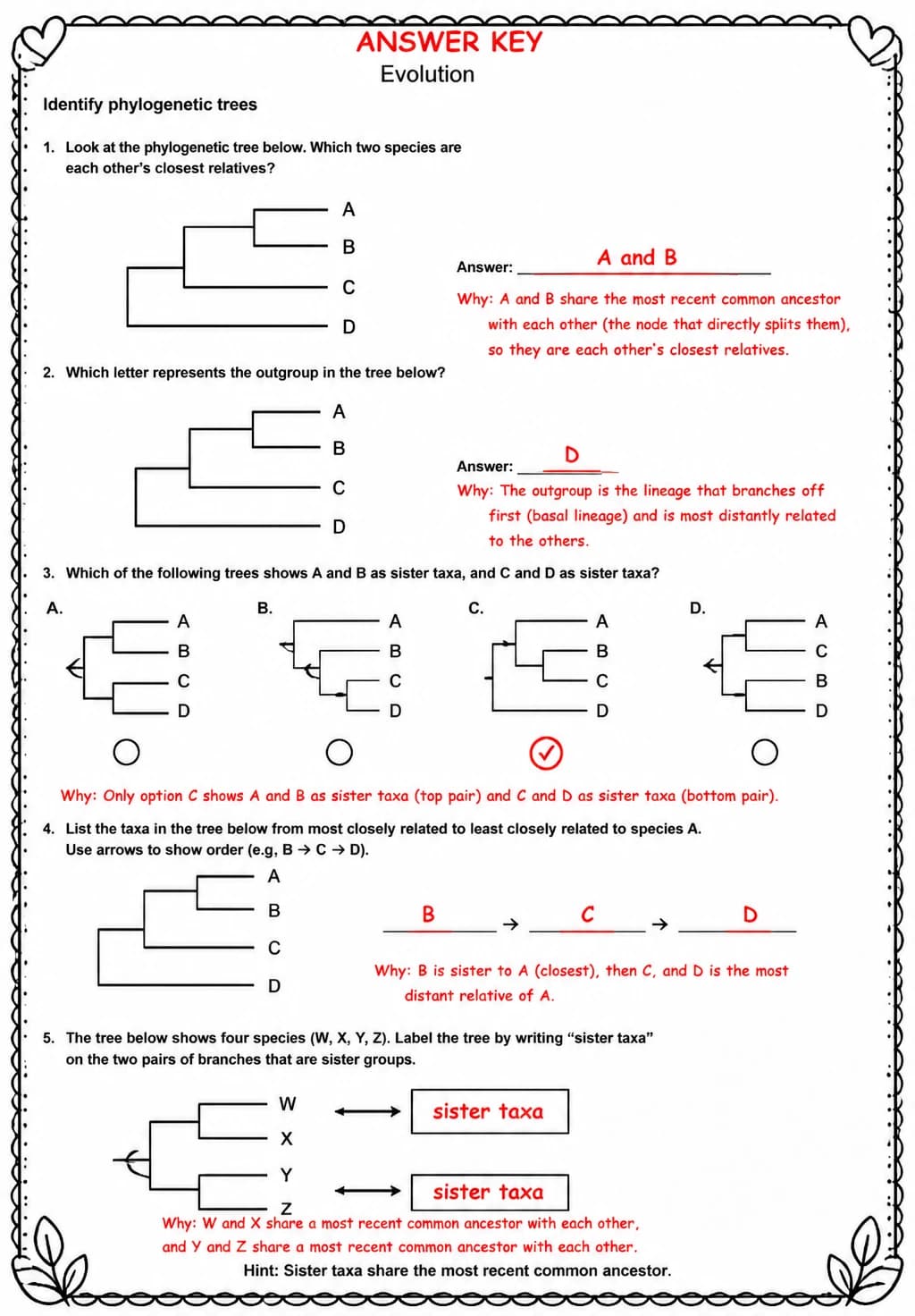Answer key for Identify phylogenetic trees — free printable Science worksheet