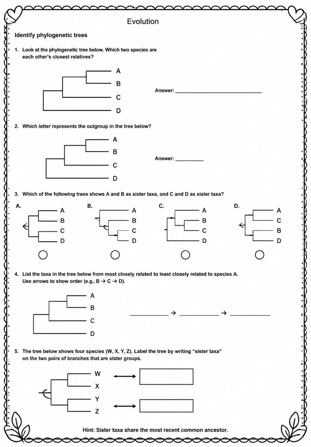 Identify phylogenetic trees — free printable High School Science worksheet