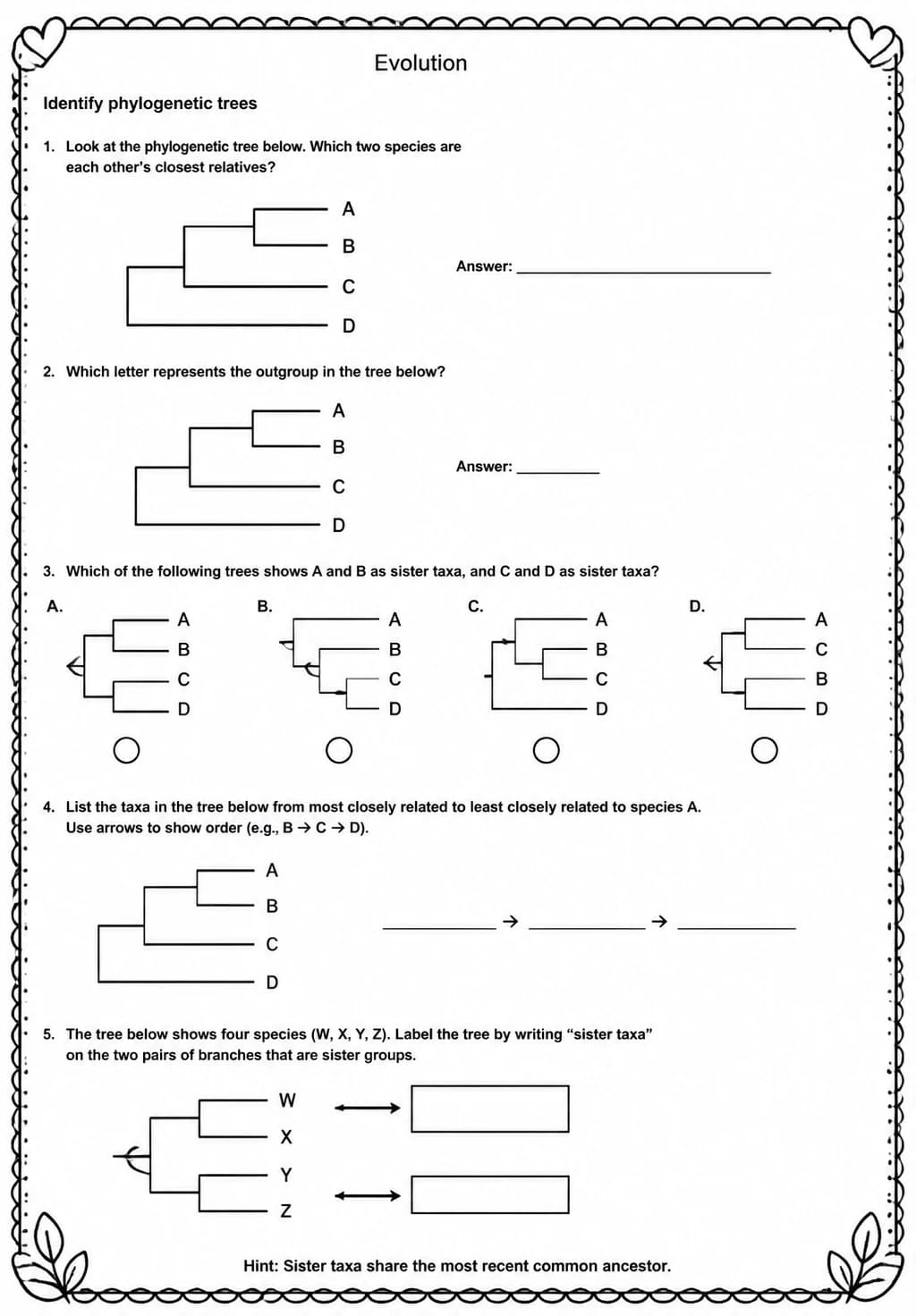 Identify phylogenetic trees — free printable High School Science worksheet