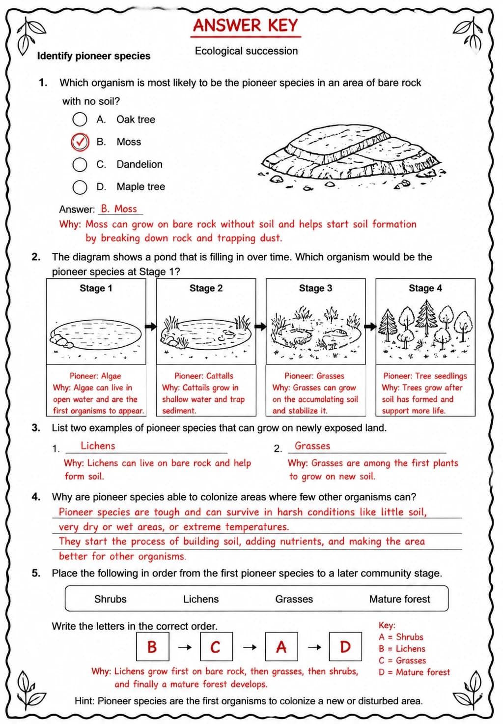 Answer key for Identify pioneer species — free printable Science worksheet