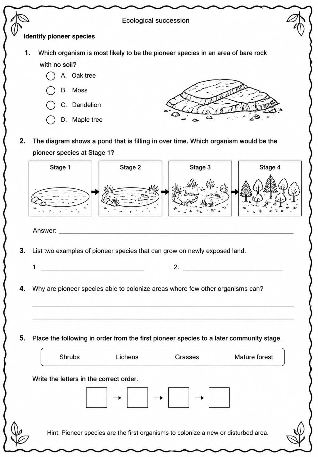 Identify pioneer species — free printable Middle School Science worksheet