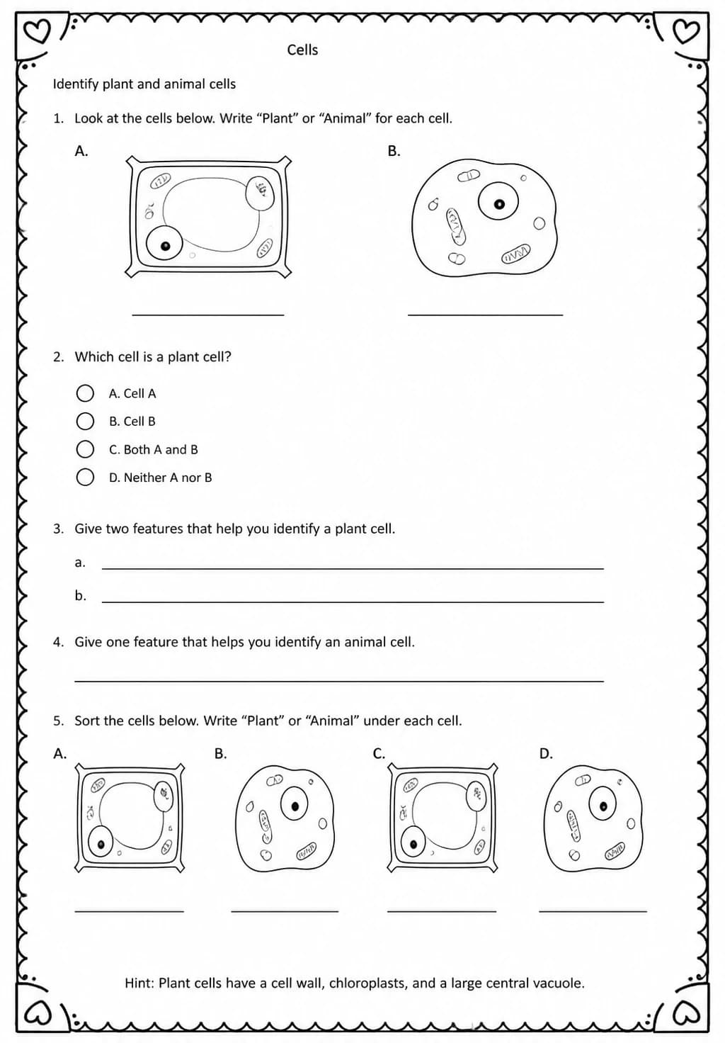 Identify plant and animal cells — free printable Middle School Science worksheet