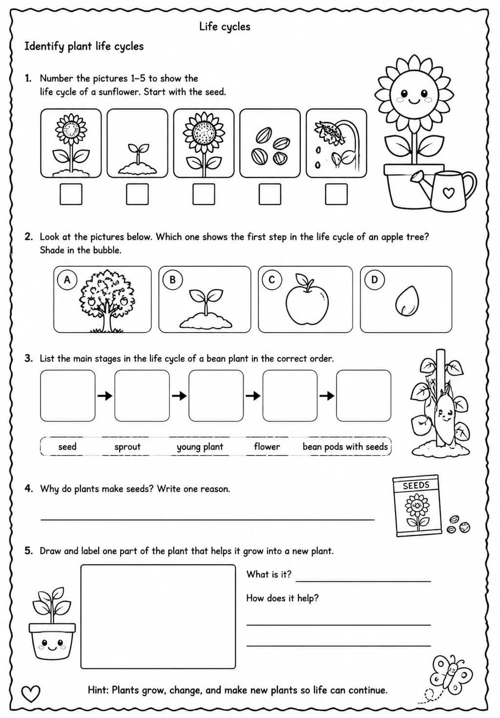 Identify plant life cycles — free printable Grade 3 Science worksheet