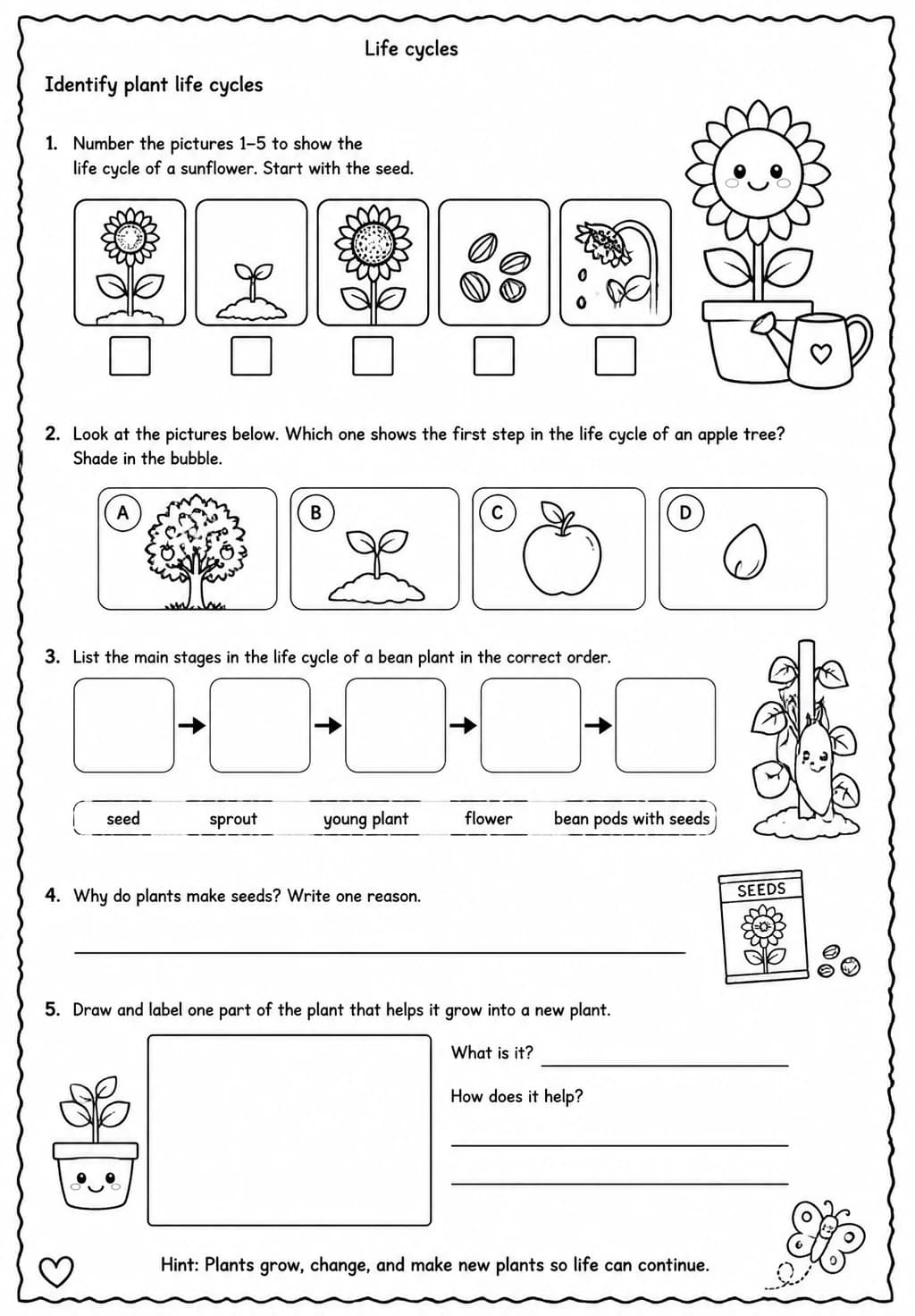 Identify plant life cycles — free printable Grade 3 Science worksheet
