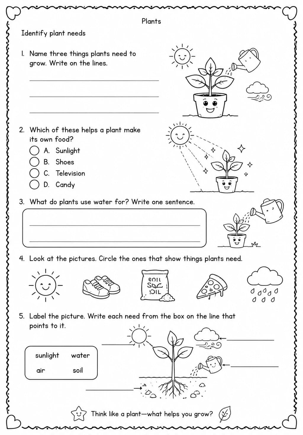 Identify plant needs — free printable Grade 2 Science worksheet