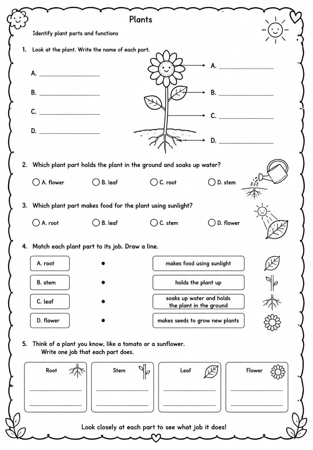 Identify plant parts and functions — free printable Grade 2 Science worksheet