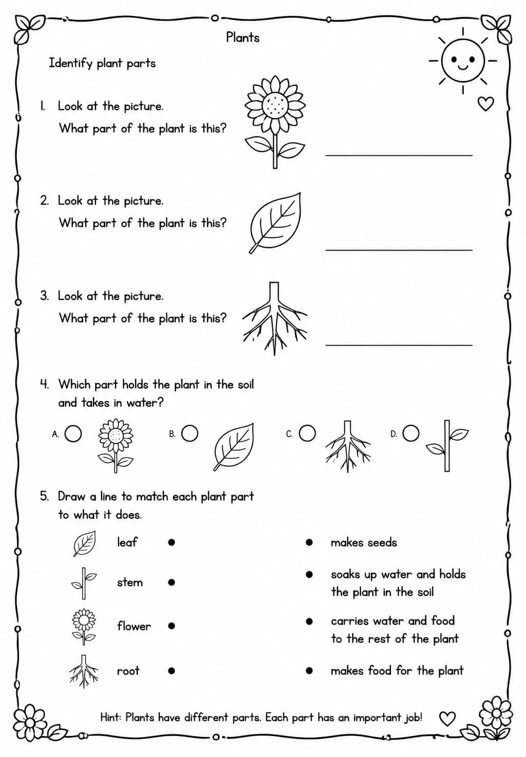 Identify plant parts — free printable Grade 1 Science worksheet