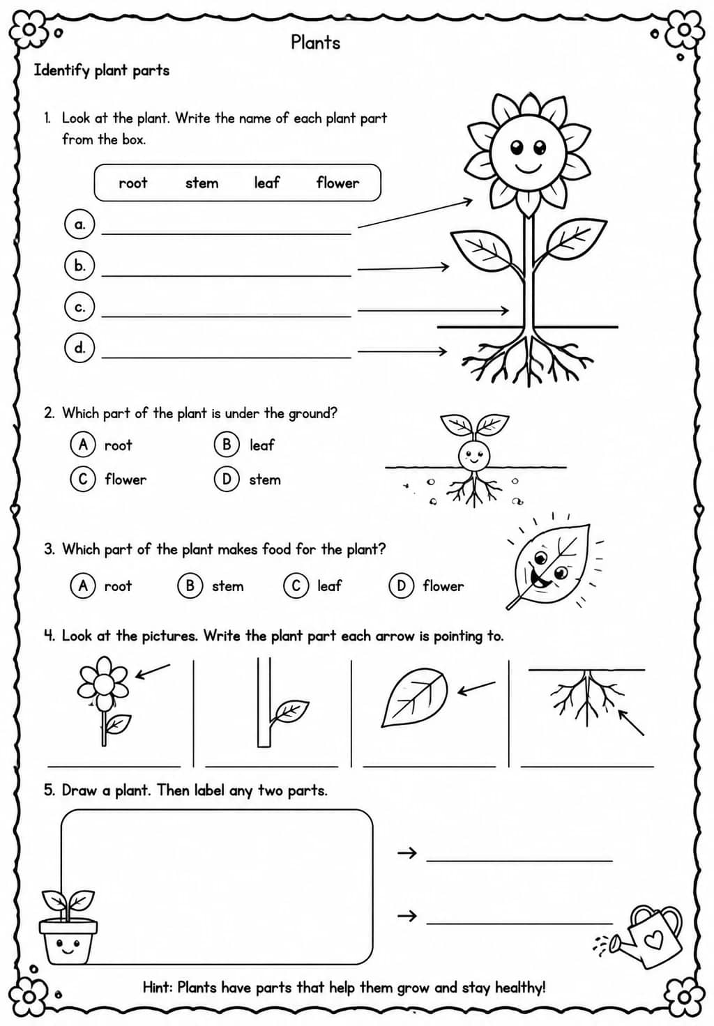 Identify plant parts — free printable Kindergarten Science worksheet