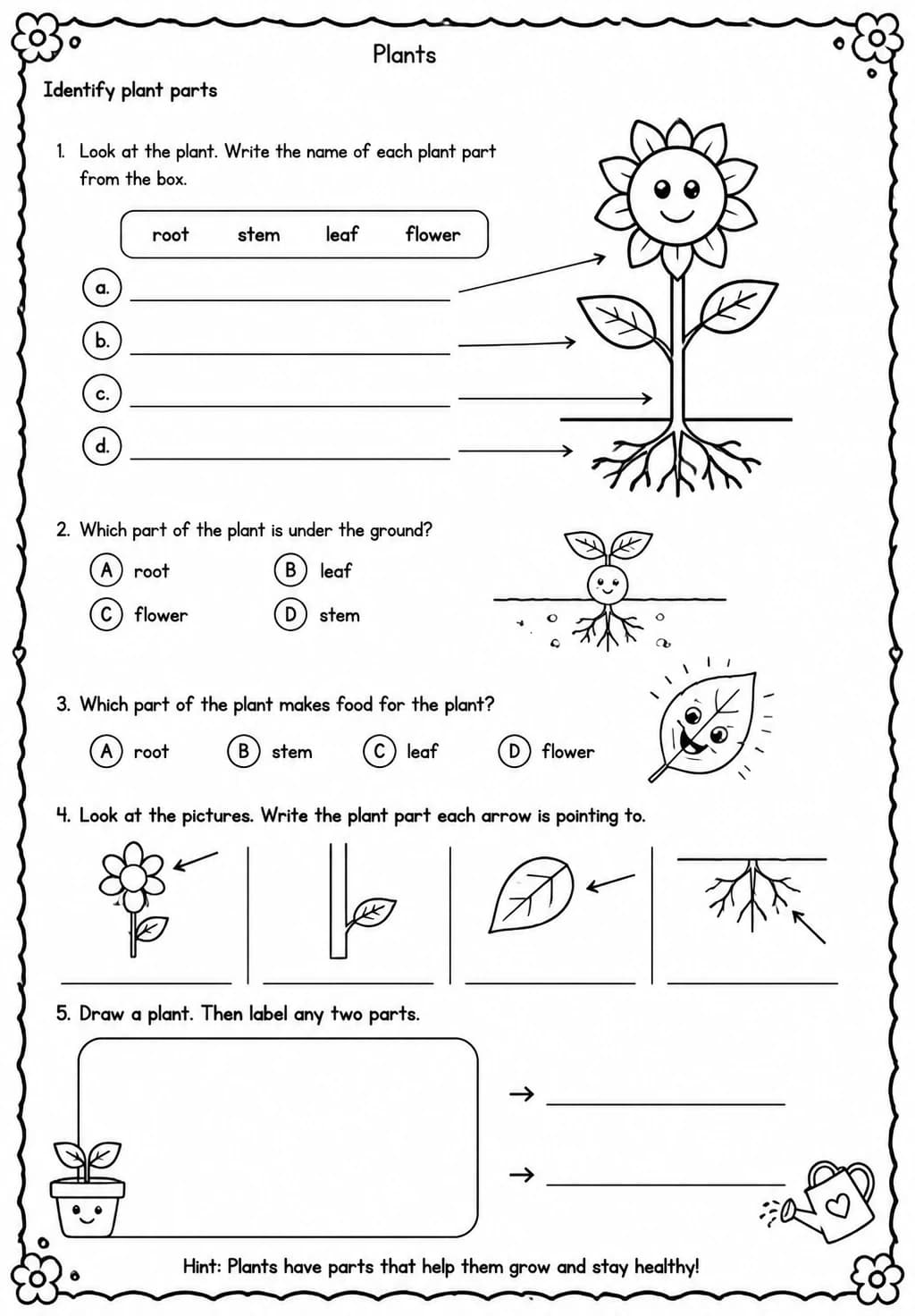 Identify plant parts — free printable Kindergarten Science worksheet