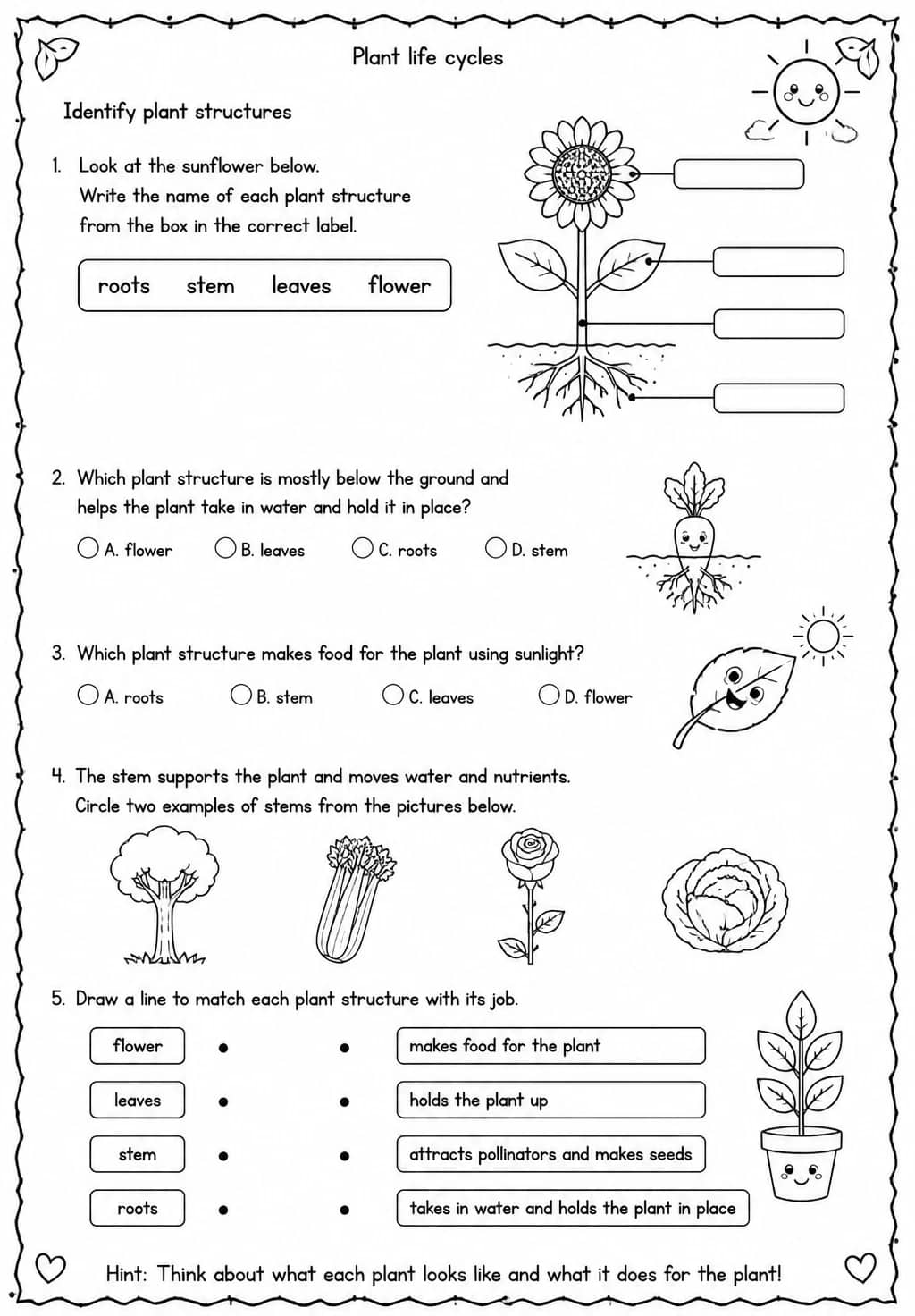 Identify plant structures — free printable Grade 4 Science worksheet