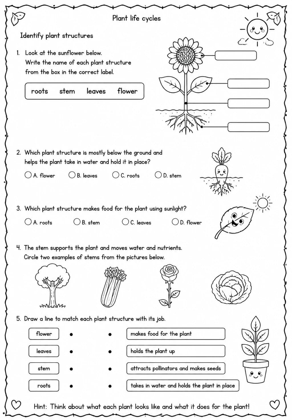 Identify plant structures — free printable Grade 4 Science worksheet