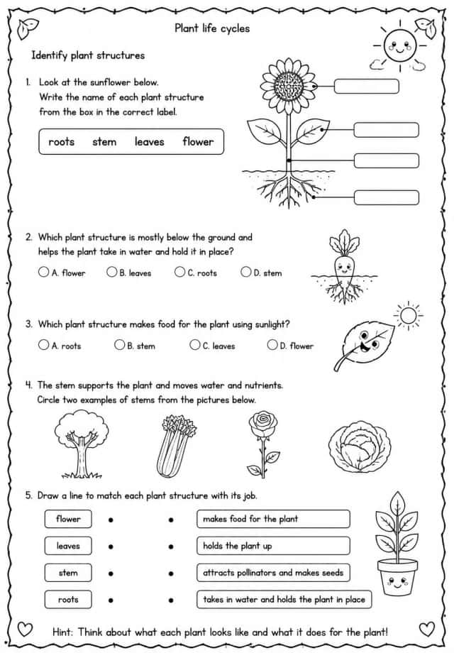 Identify plant structures