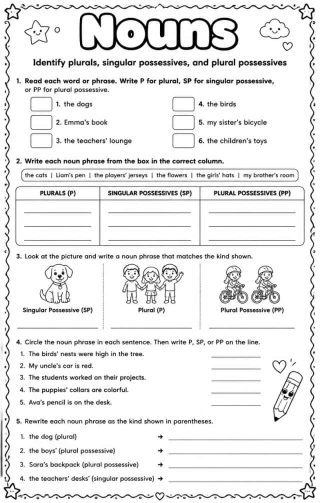 Identify plurals, singular possessives, and plural possessives