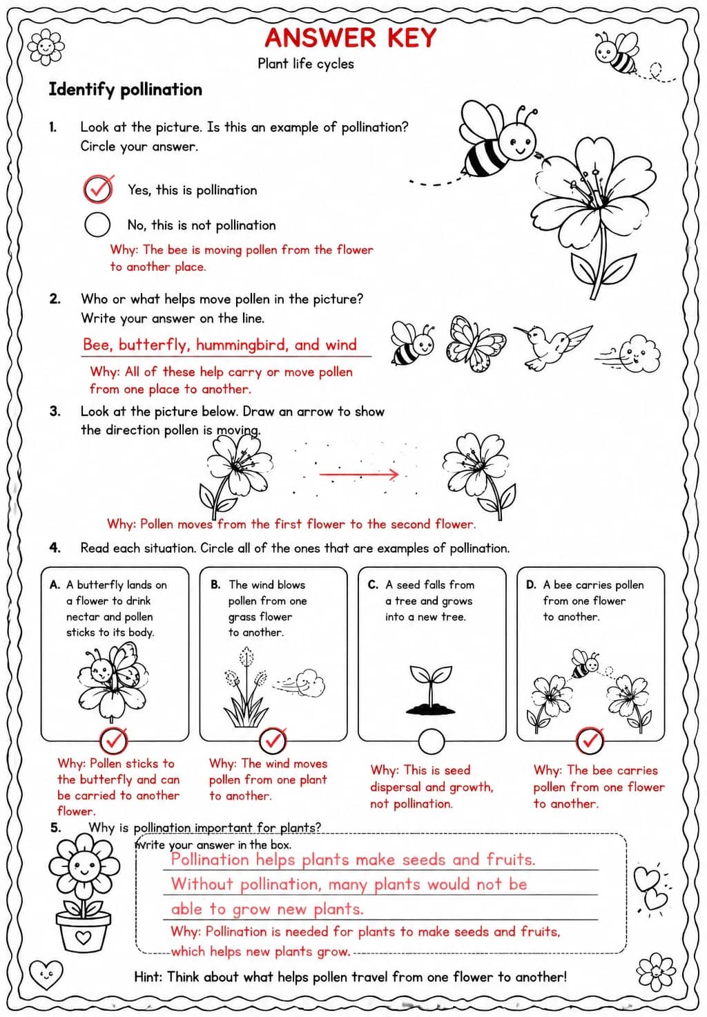 Answer key for Identify pollination — free printable Science worksheet