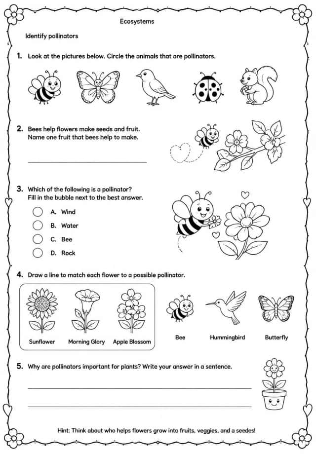 Identify pollinators
