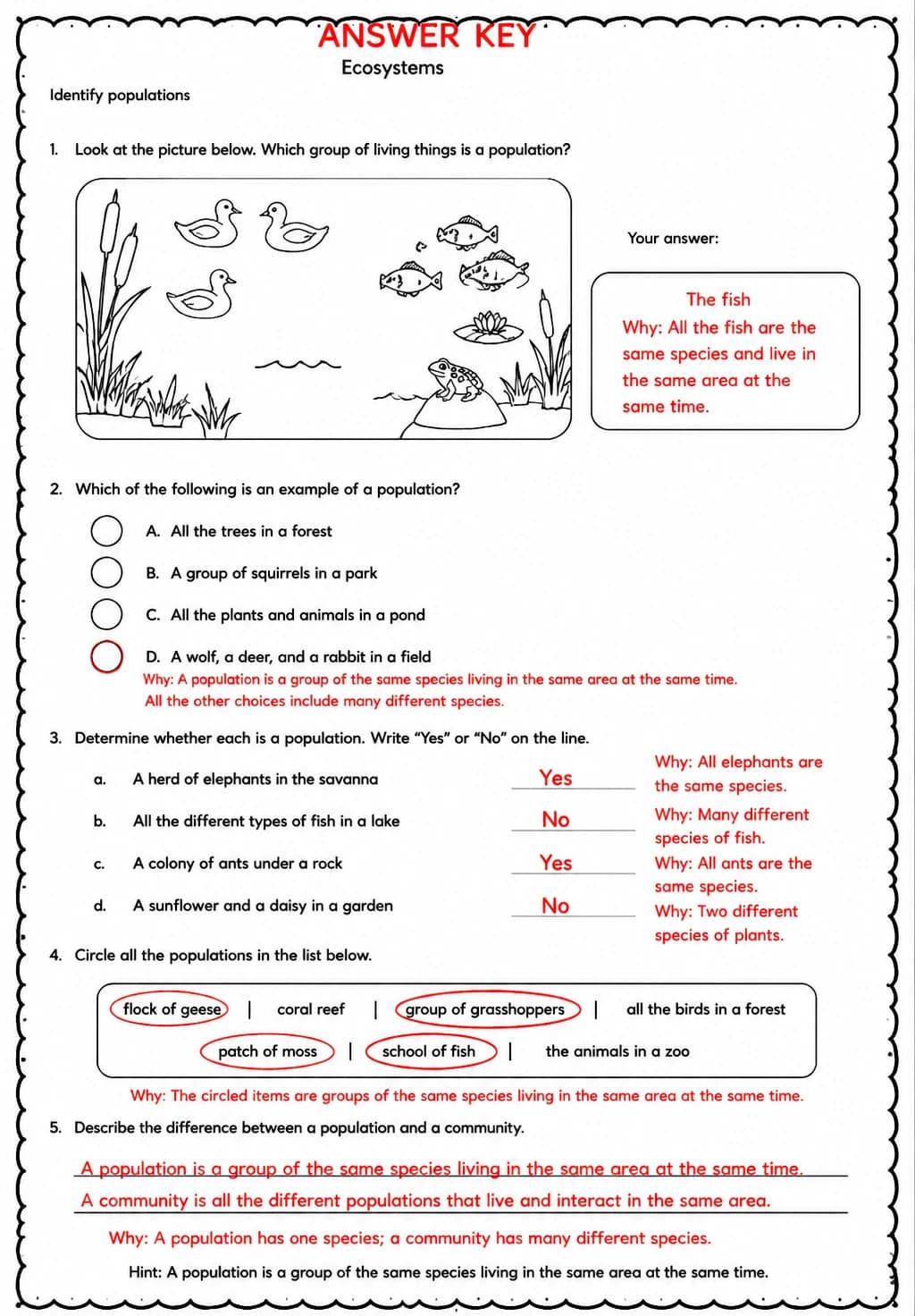 Answer key for Identify populations — free printable Science worksheet