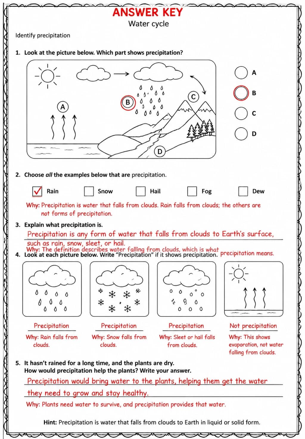 Answer key for Identify precipitation — free printable Science worksheet