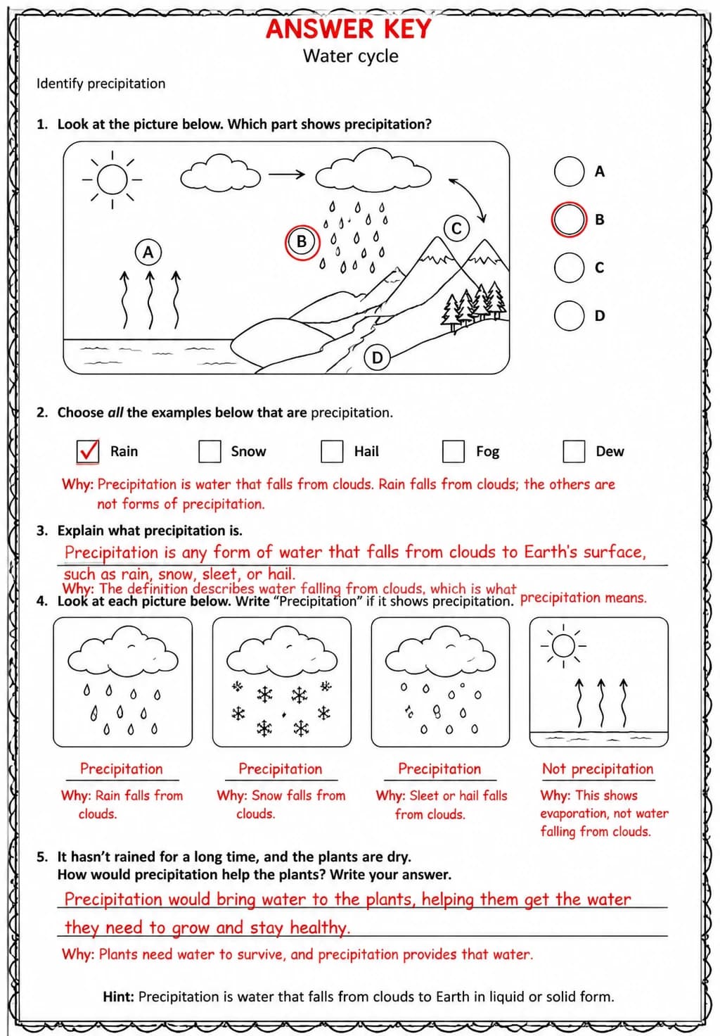 Answer key for Identify precipitation — free printable Science worksheet