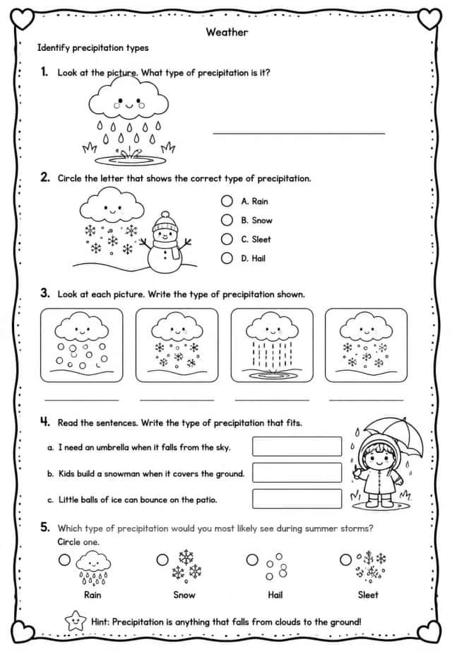 Identify precipitation types