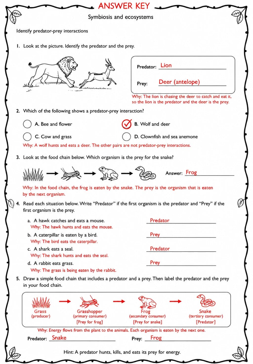 Answer key for Identify predator-prey interactions — free printable Science worksheet
