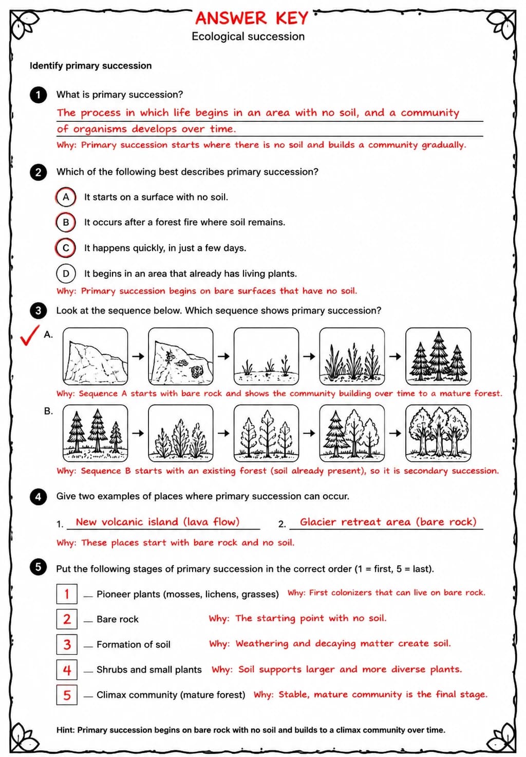 Answer key for Identify primary succession — free printable Science worksheet