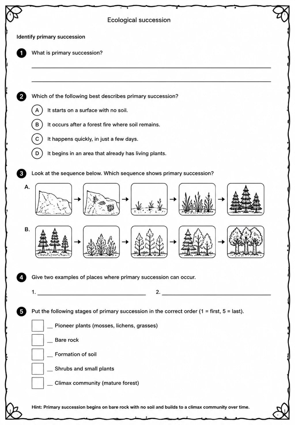 Identify primary succession — free printable Middle School Science worksheet