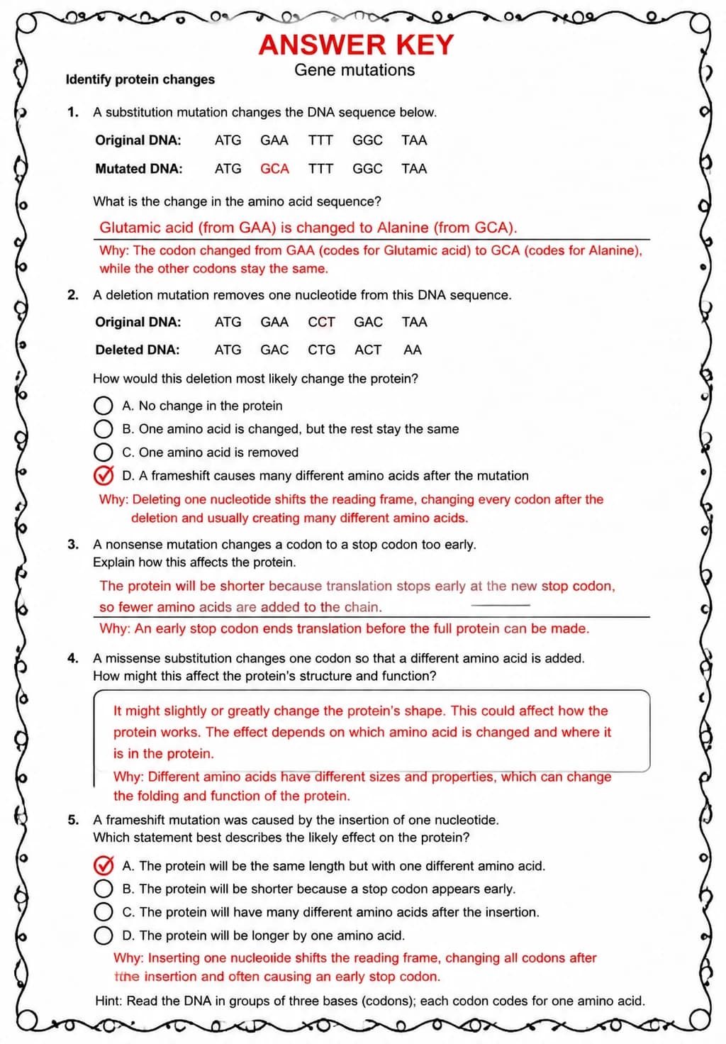 Answer key for Identify protein changes — free printable Science worksheet
