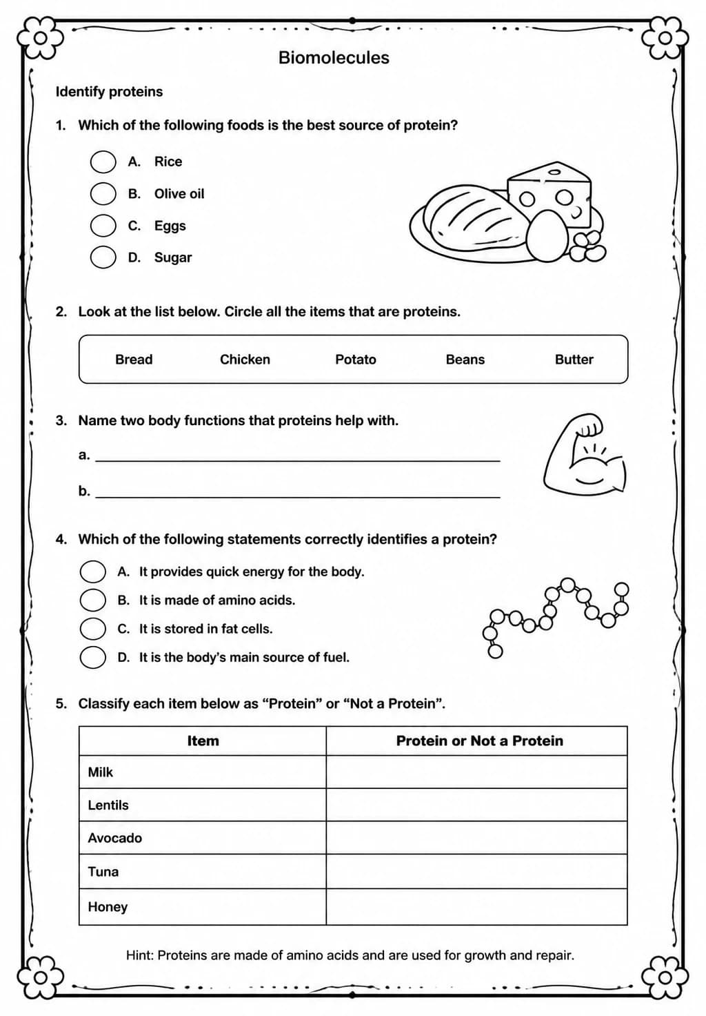 Identify proteins — free printable High School Science worksheet