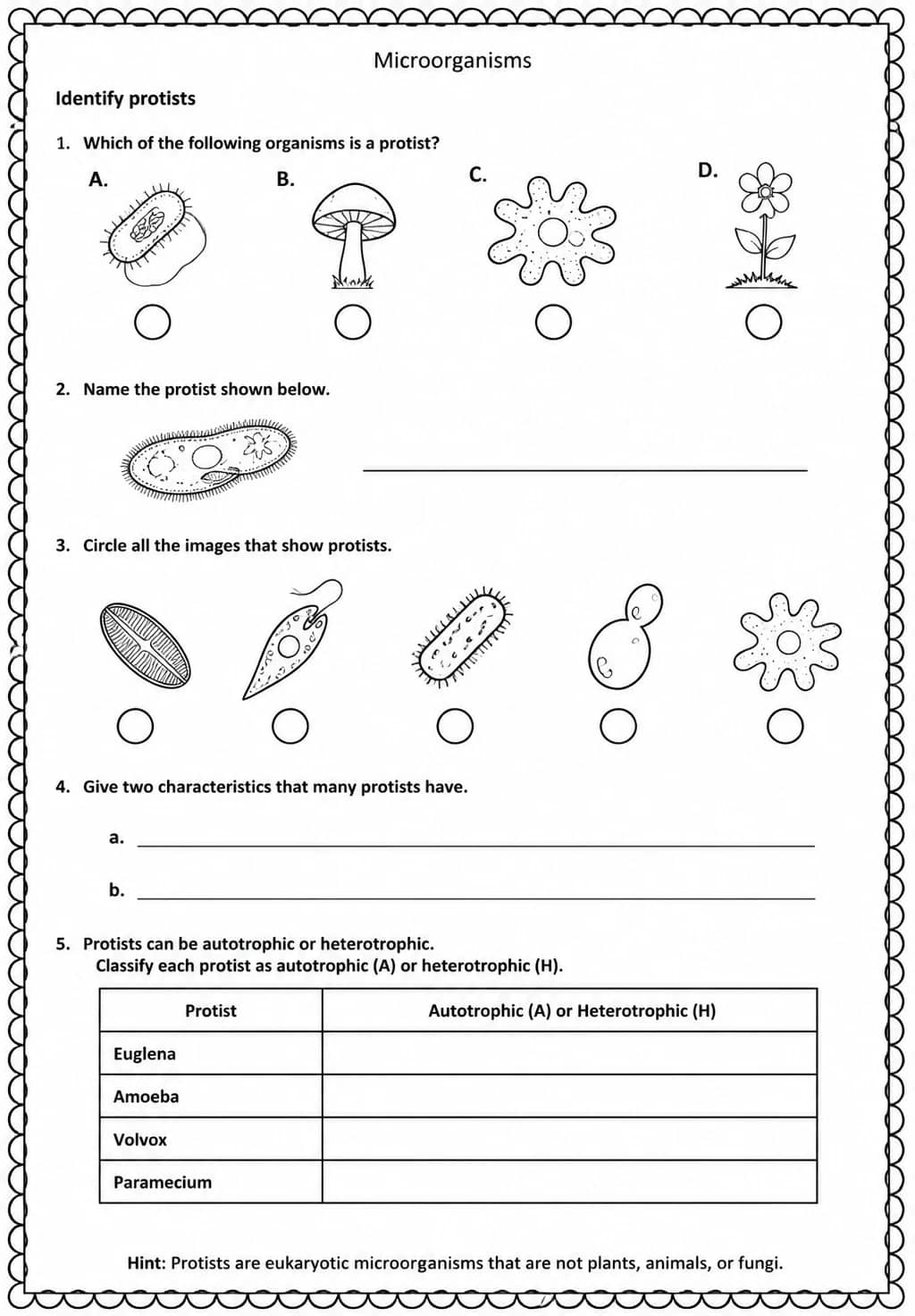 Identify protists — free printable Middle School Science worksheet