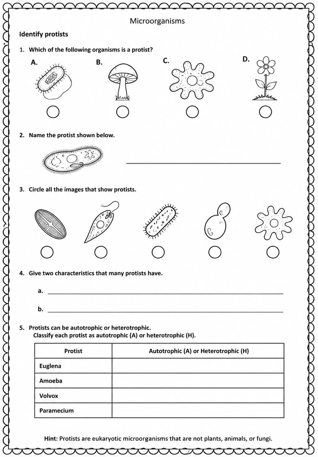 Identify protists — free printable Middle School Science worksheet