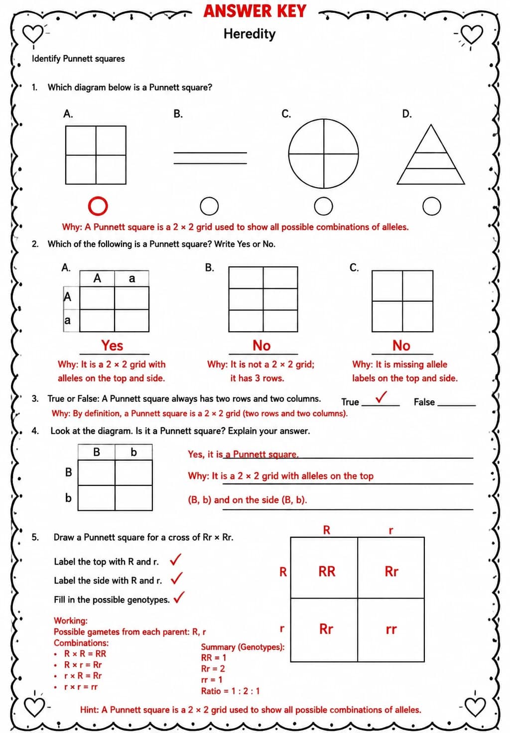 Answer key for Identify Punnett squares — free printable Science worksheet