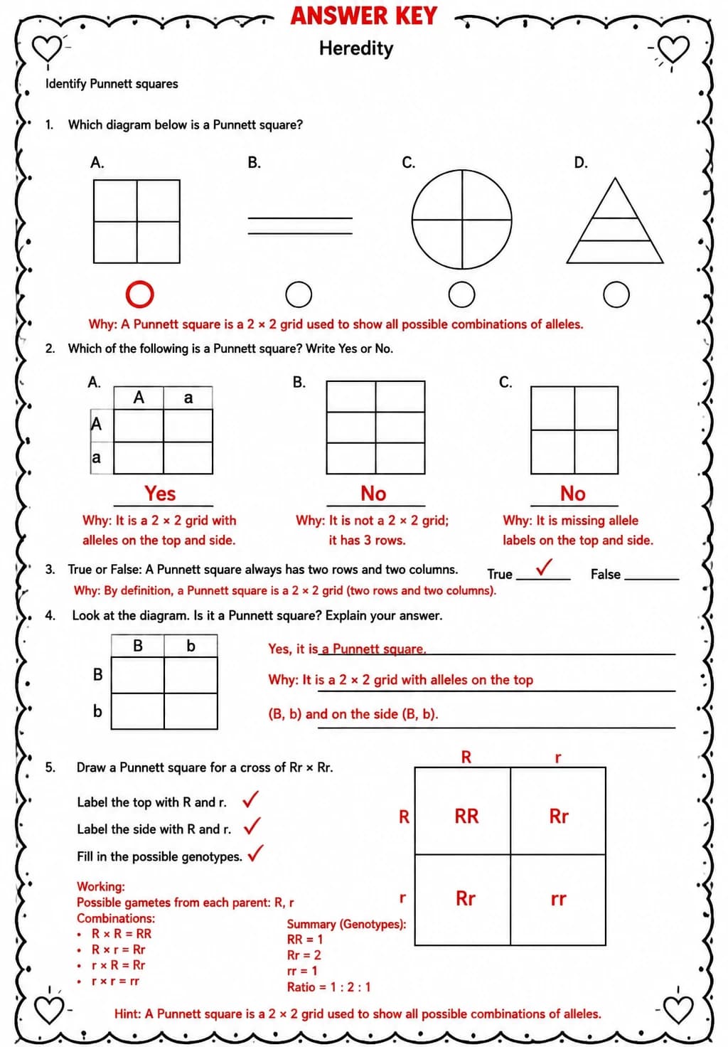 Answer key for Identify Punnett squares — free printable Science worksheet