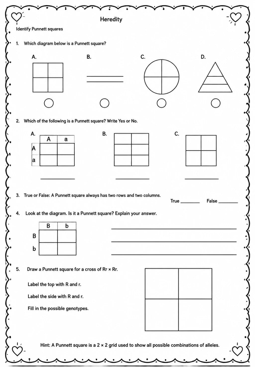 Identify Punnett squares — free printable Middle School Science worksheet