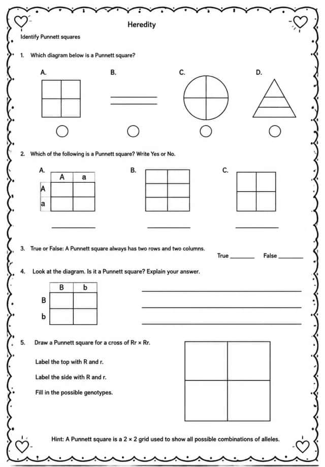 Identify Punnett squares