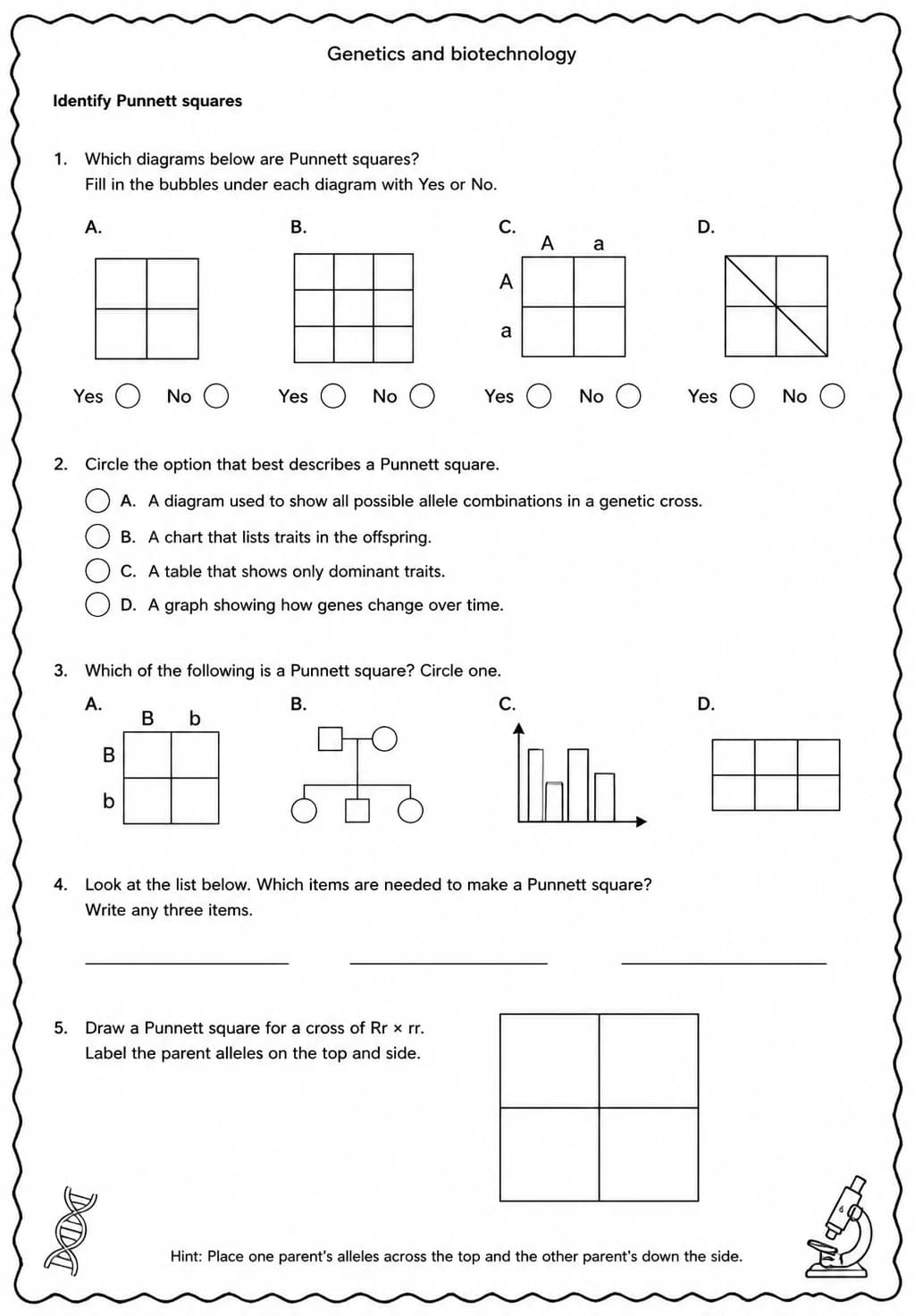 Identify Punnett squares — free printable Middle School Science worksheet