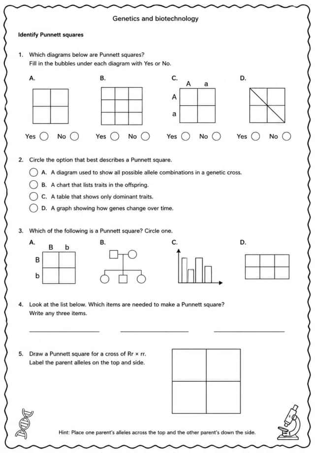 Identify Punnett squares