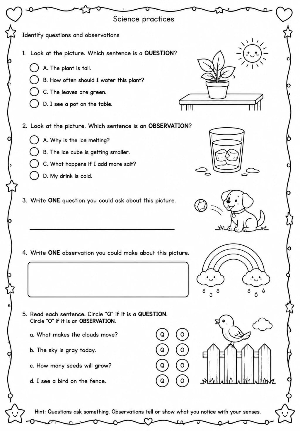 Identify questions and observations — free printable Grade 3 Science worksheet