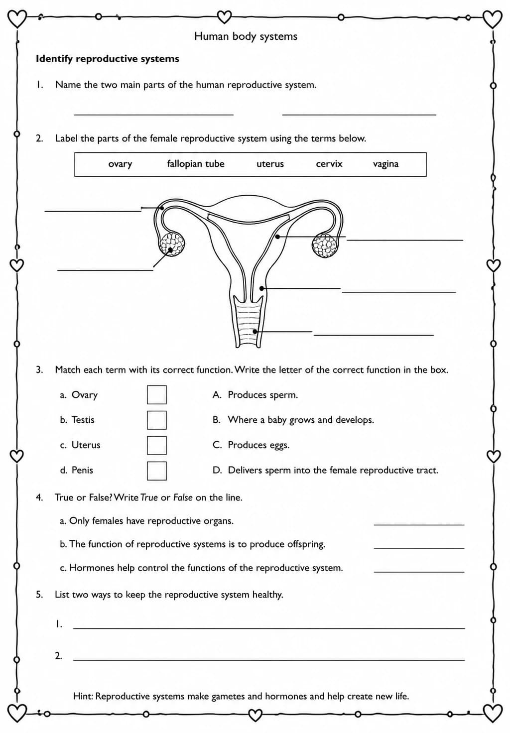 Identify reproductive systems — free printable Middle School Science worksheet
