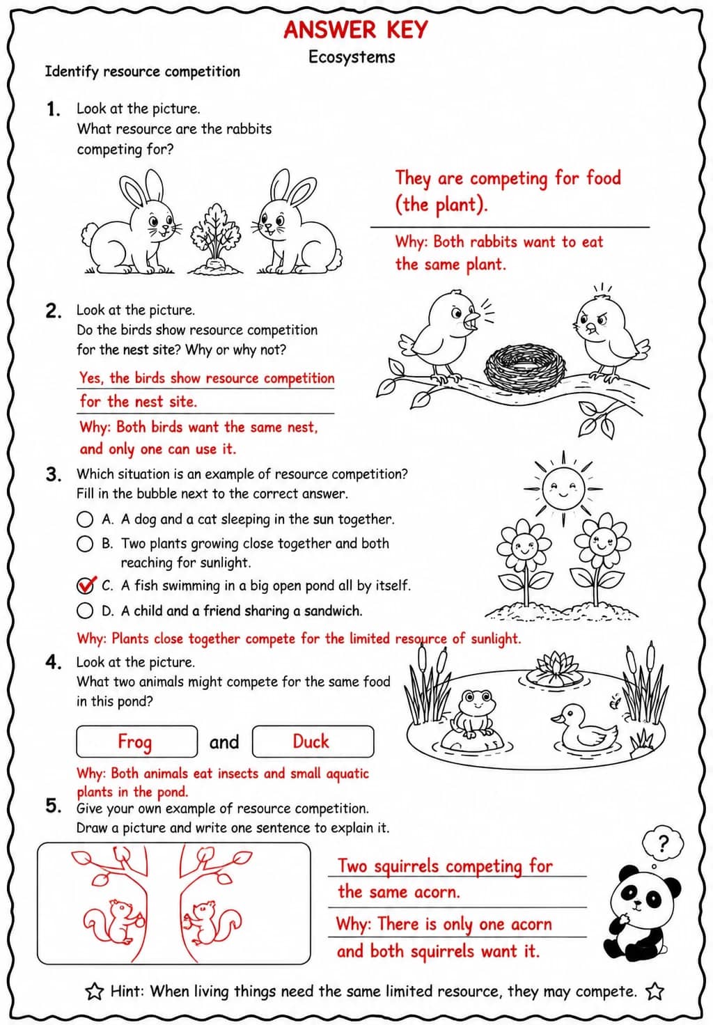 Answer key for Identify resource competition — free printable Science worksheet
