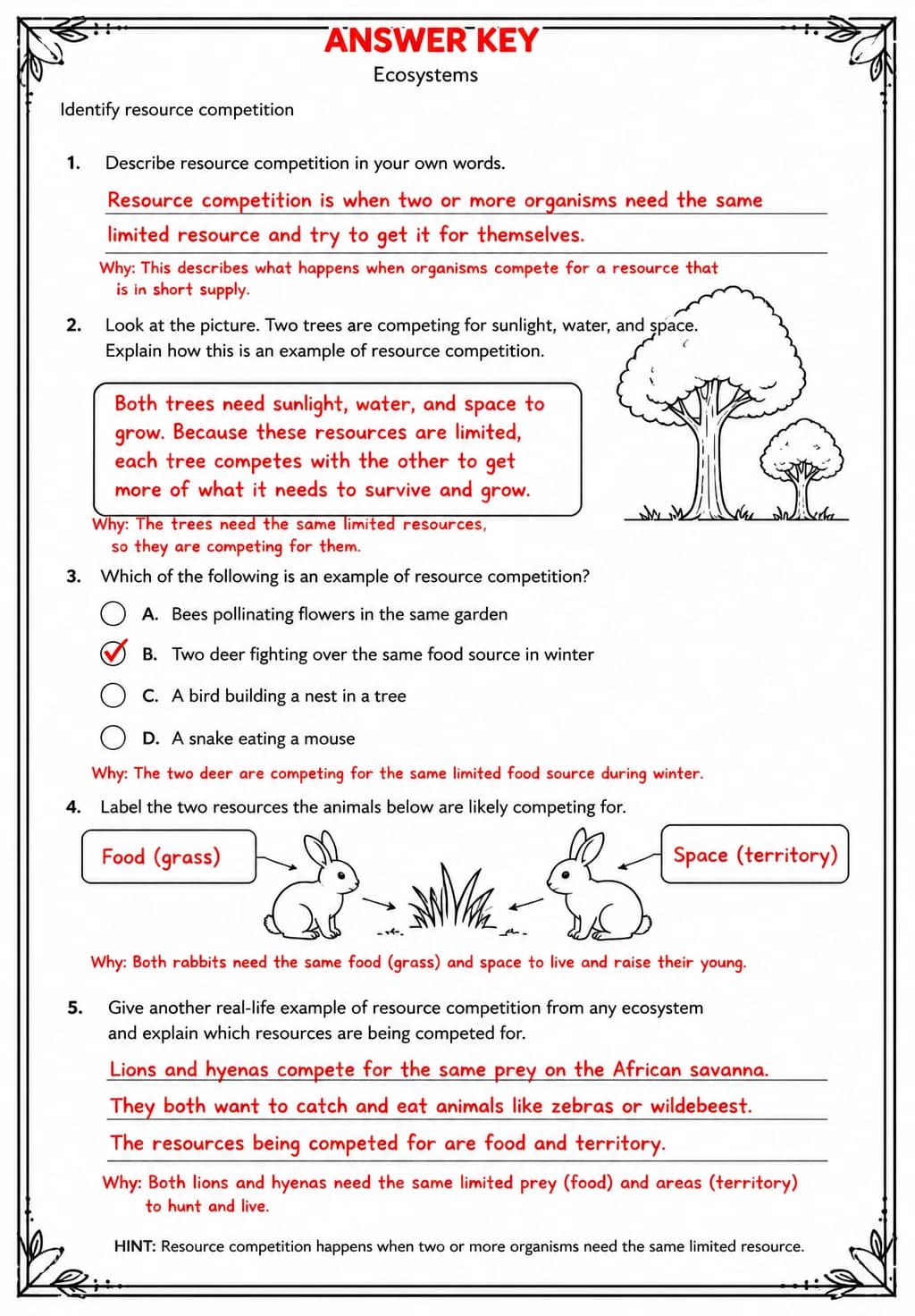 Answer key for Identify resource competition — free printable Science worksheet